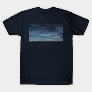 A Small Murmuration Of Starlings T-Shirt